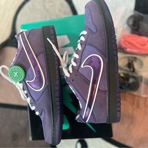 Nike SB Concepts x Purple Lobster